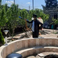 سمپاشی باغبانی و درختکاری هرس تیلر کود گل سم پاشی