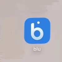 درامد زایی با بلو بانک