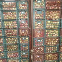 سیب ابگیری، میوه خشک، سرکه، لواشک|خوردنی و آشامیدنی|اصفهان, درب سیبه علیا|دیوار