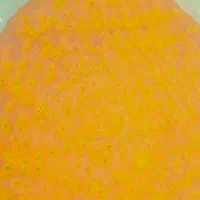 نان محلی  نان شیرمال کلوچه خرمایی|خوردنی و آشامیدنی|مزرعه کتول, |دیوار