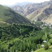 باغ میوه ۲۰ دقیقه تا شهران (منطقه ۵)