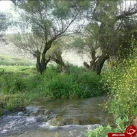 تور و سفر تفریحی