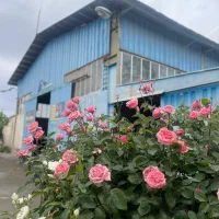 استخدام نقشه کش صنعتی