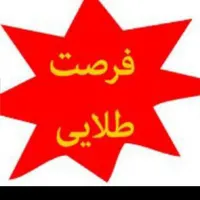 اعضا گروه