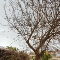 منزل-ویلایی-دو-واحد-همکف