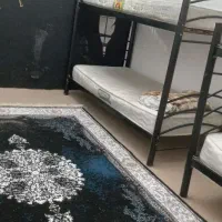 موکت کفی تخت|موکت|بندرعباس, |دیوار