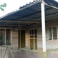 فروش باغ گردوی پیوندی به ثمر رسیده