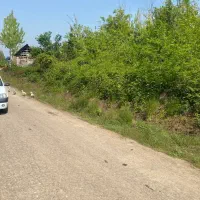 زمین مسکونی