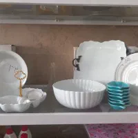 ظروف پذیرایی