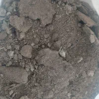 کود دامی قیمت مناسب