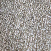 پالاز موکت نو با تراکم بالا