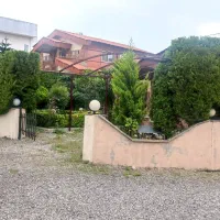 باغبانی و باغچه سازی|خدمات باغبانی و درختکاری|آمل, |دیوار