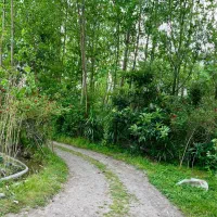 خونه شالیزار۲۱۰۰۰مترکوچصفهان، خشکبیجار،لاهیجا،رشت|فروش خانه و ویلا|خمام, |دیوار