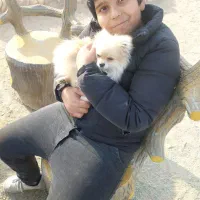 یکی خط همراه دایمی فروشی