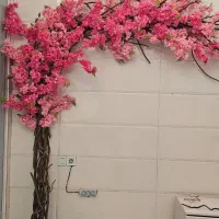 درختچه های شکوفه