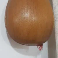 دوتار استادی دومهر|سازهای سنتی|زیرکوه, |دیوار