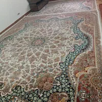 فرش ماشینی ۱۲ متری|فرش|ساری, |دیوار