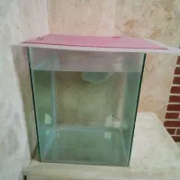 آکواریوم کوچک معاوضه  با گلدین