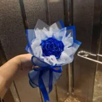 تک شاخه