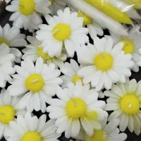 شمع گل بابونه