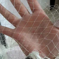 ماشک ‌(سالی)|ماهیگیری|رشت, کوی مهر|دیوار