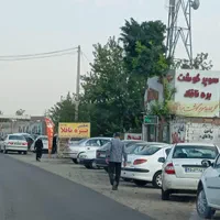 گوشت گوسفندی نرینه گرم(کالابرگ و آزاد)|خوردنی و آشامیدنی|نیشابور, فضل|دیوار