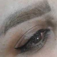 آفر ویژه برای مدل فیبروز ابرو و شید و کانتور لب|خدمات آرایشگری و زیبایی|کرمان, |دیوار