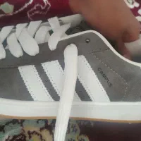 کتونی کامپوس سایز ۴۴ نو|کیف، کفش، کمربند|صحنه, |دیوار