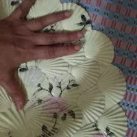 پادری پلاستیکی|پادری|رشت, جانبازان|دیوار