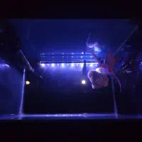 آکواریوم ضخیم شرکتی