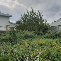 زمین مسکونی ۲۸۶متر ساحلی/ضلع جنوبی/ مجوز ساخت|فروش زمین و ملک کلنگی|خشکبیجار, |دیوار