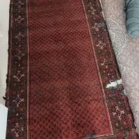 فرش۳متری|فرش|گرگان, |دیوار