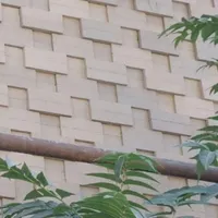 نما