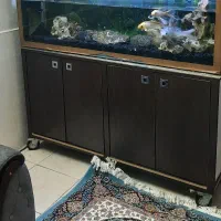 آکواریوم|ماهی|تهران, تهرانپارس شرقی|دیوار