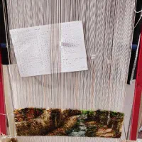 دار قالی (منظره)