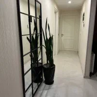 آینه قدی مدل و ابعاد مختلف|آینه|مشهد, شهید جنگی|دیوار