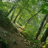 دوقطعه زمین تجاری شهیدیه