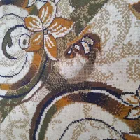 قیمت پایین گذاشتم فروش بره|گلیم، جاجیم، گبه|سقز, |دیوار