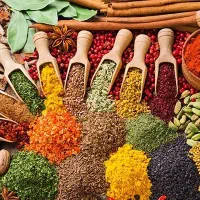 فروشنده خوار و بار فروشی