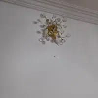 لوستر|لوستر و چراغ آویز|گرگان, |دیوار