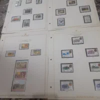 اوراق اپادانا باتمبر