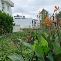 زمین-بافت-مسکونی-با-جواز-ساخت