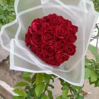 گل روبانی