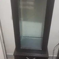 اکواریوم