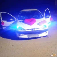 پژو206Sd