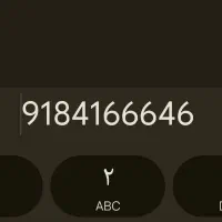 09184166646