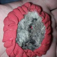 دعای حرز امام جواد