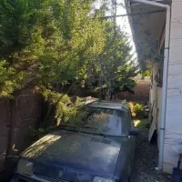 فروش|فروش خانه و ویلا|زیباکنار, |دیوار