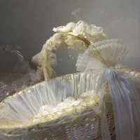سبد بله برون ۵۰۰ لباس عروس لباس مجلسی خرید چکی دفت|لباس|کاشان, رجایی|دیوار