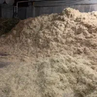 باگاس نیشکر